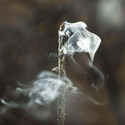 Incenso Olibano Naturale - Amami Arredo Olfattivo